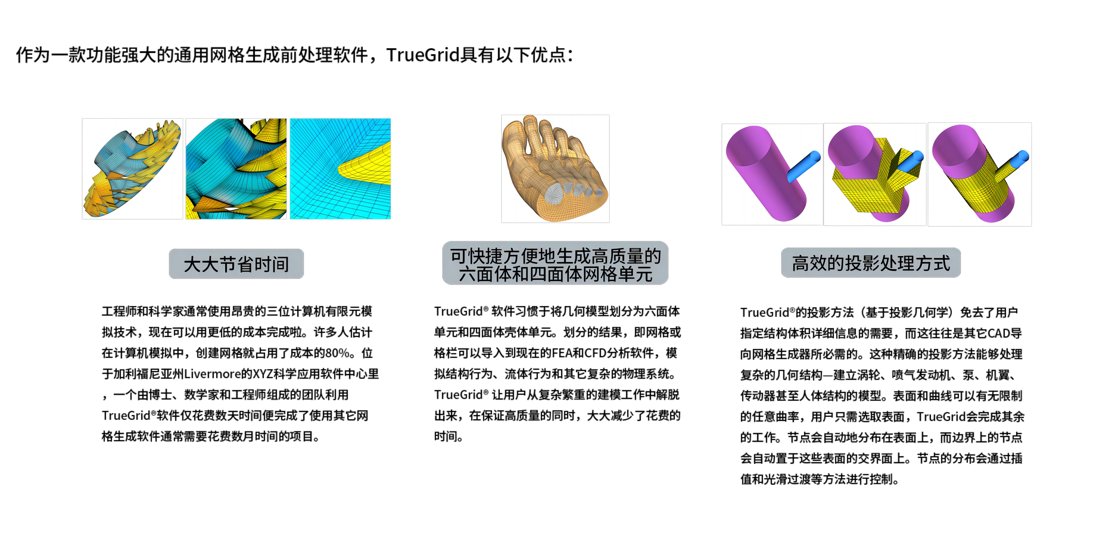TrueGrid 功能强大的专业网格划分软件